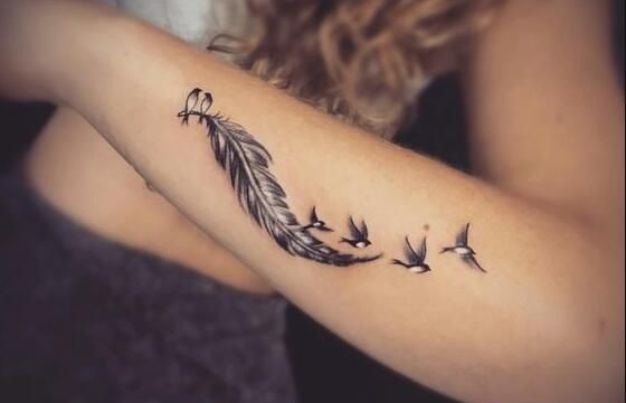 Feather
